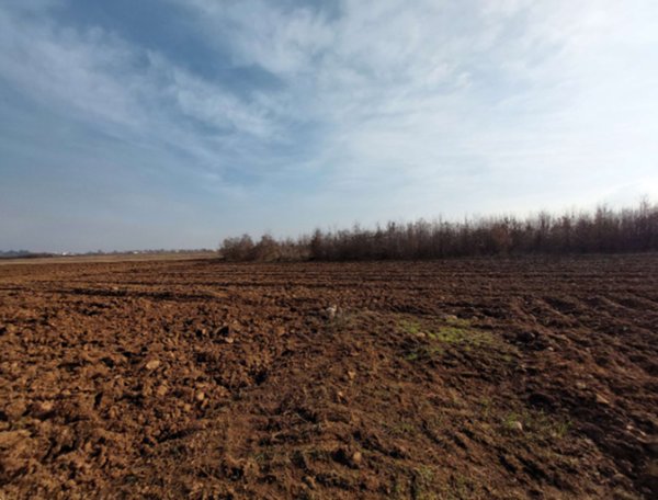 terreno agricolo in vendita a San Daniele del Friuli