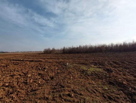 terreno agricolo in vendita a San Daniele del Friuli