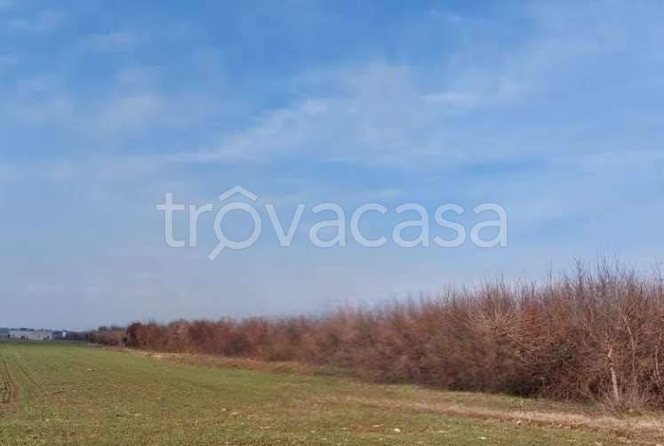 appartamento in vendita a San Daniele del Friuli