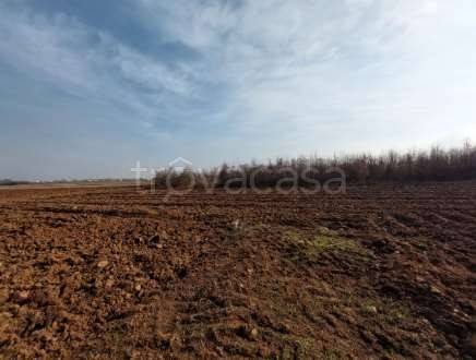 appartamento in vendita a San Daniele del Friuli