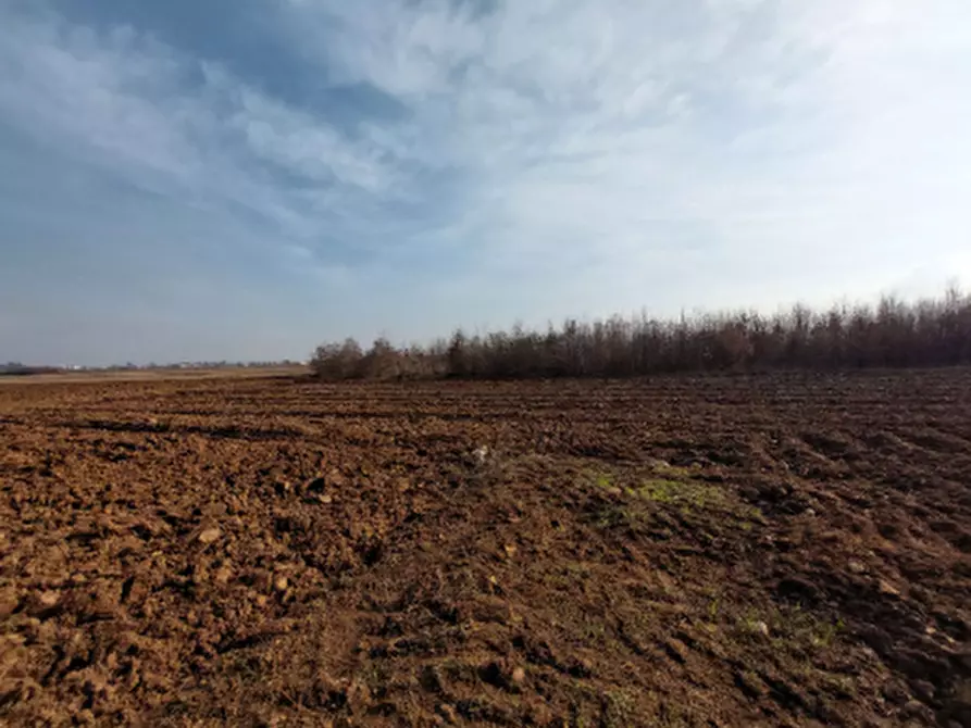 terreno agricolo in vendita a San Daniele del Friuli