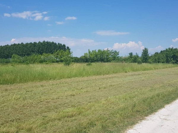 terreno agricolo in vendita a San Giorgio di Nogaro in zona Zellina