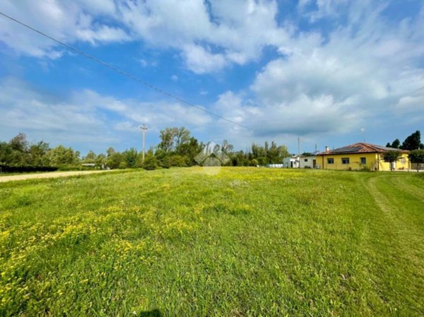 terreno agricolo in vendita a San Giorgio di Nogaro