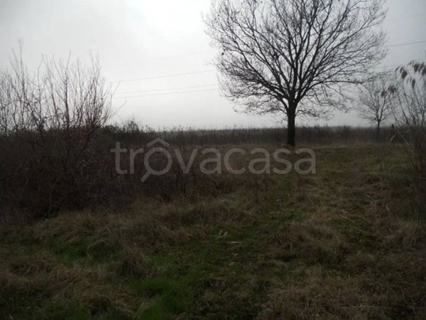 terreno agricolo in vendita a San Giorgio di Nogaro
