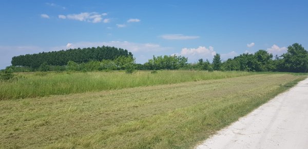 terreno edificabile in vendita a San Giorgio di Nogaro in zona Zellina