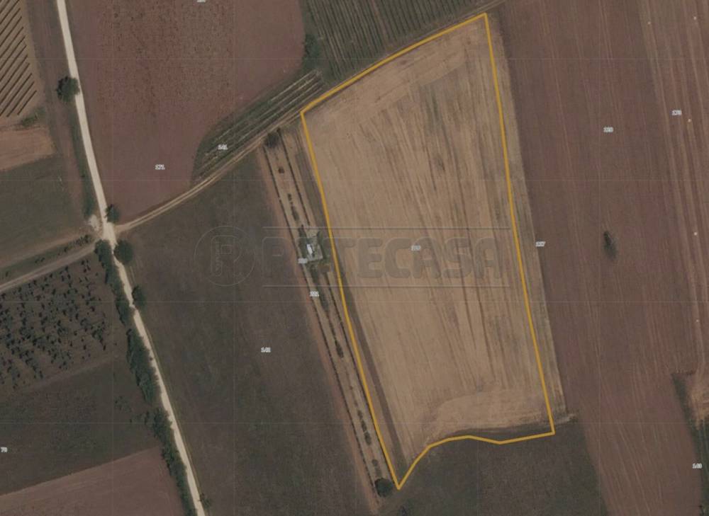 terreno agricolo in vendita a San Giovanni al Natisone in zona Bolzano