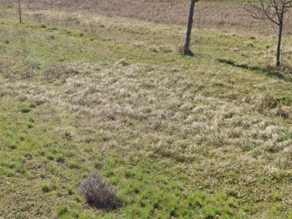 terreno agricolo in vendita a San Giovanni al Natisone in zona Medeuzza