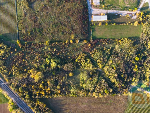 terreno agricolo in vendita a San Giovanni al Natisone