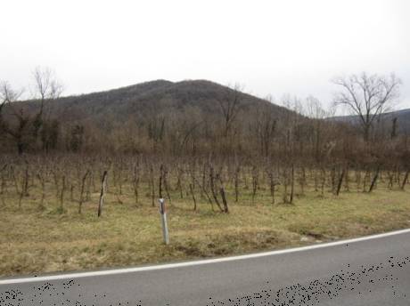 terreno agricolo in vendita a San Pietro al Natisone