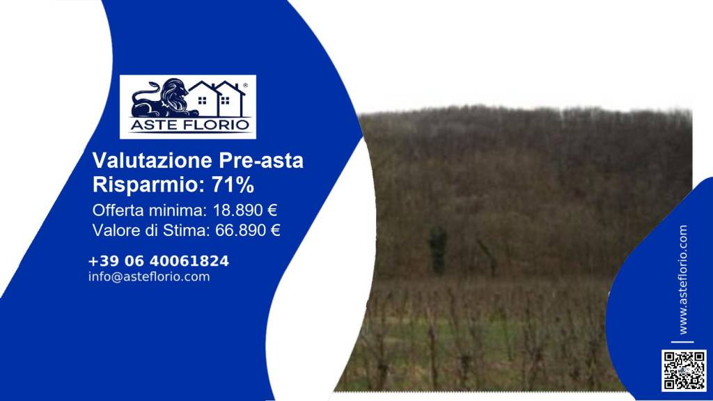 terreno agricolo in vendita a San Pietro al Natisone in zona Azzida