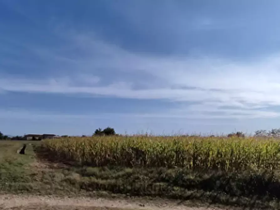 terreno agricolo in vendita a Santa Maria la Longa