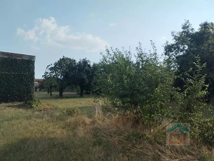 casa indipendente in vendita a Santa Maria la Longa in zona Tissano