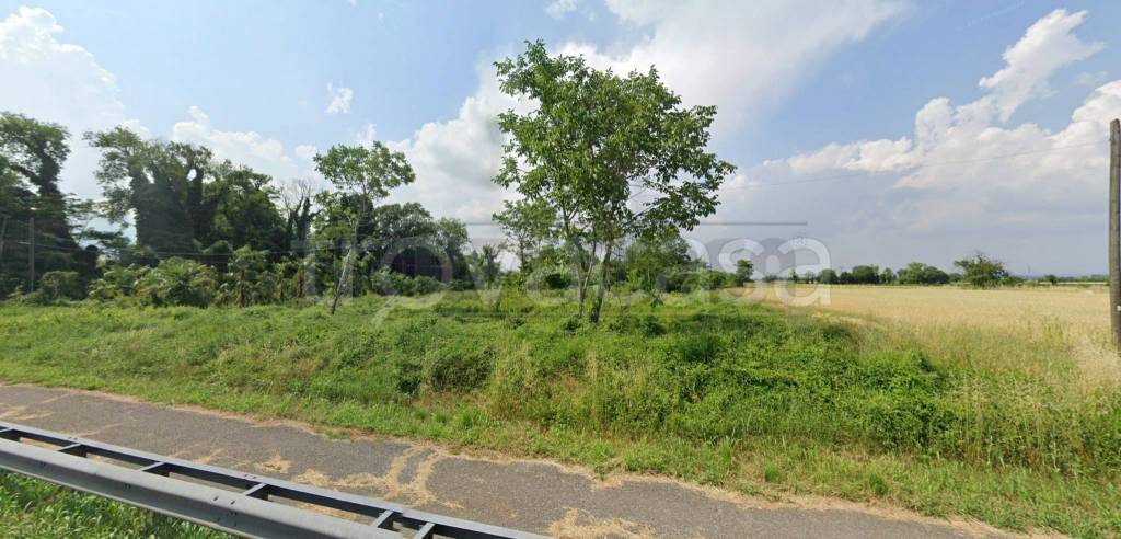 terreno agricolo in vendita a San Vito al Torre