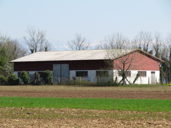 capannone in vendita a San Vito di Fagagna