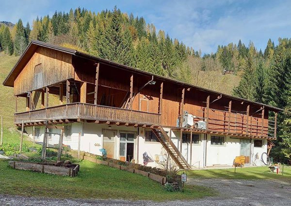 negozio in vendita a Sauris in zona Sàuris di Sotto
