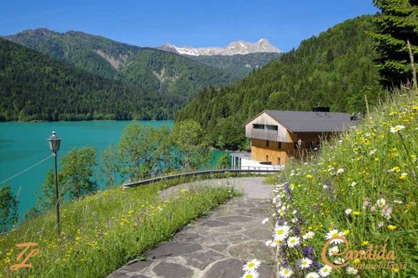 appartamento in vendita a Sauris