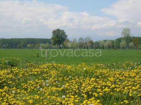 terreno agricolo in vendita a Sedegliano