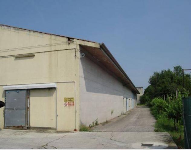 negozio in vendita a Sedegliano