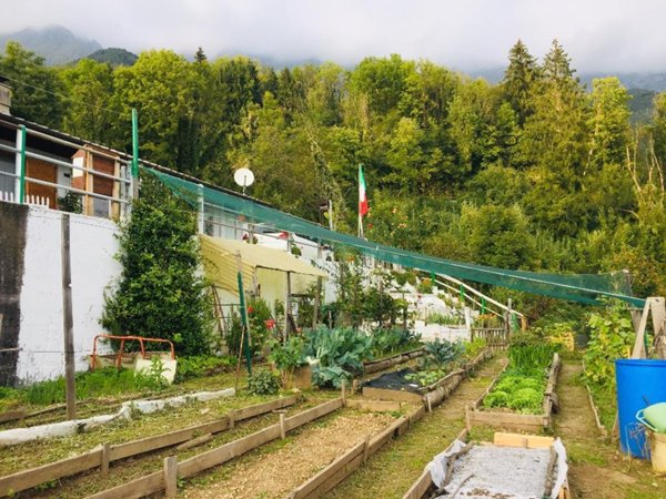 casa indipendente in vendita a Taipana in zona Monteaperta