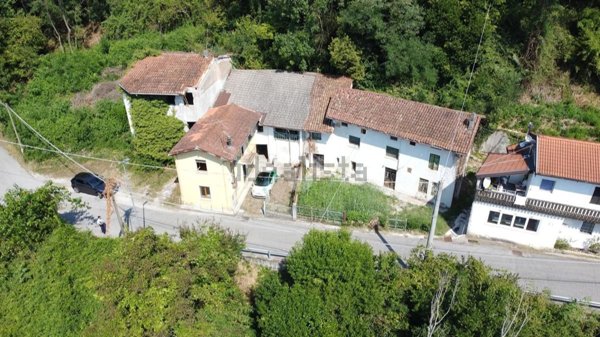 esavano in vendita a Tarcento