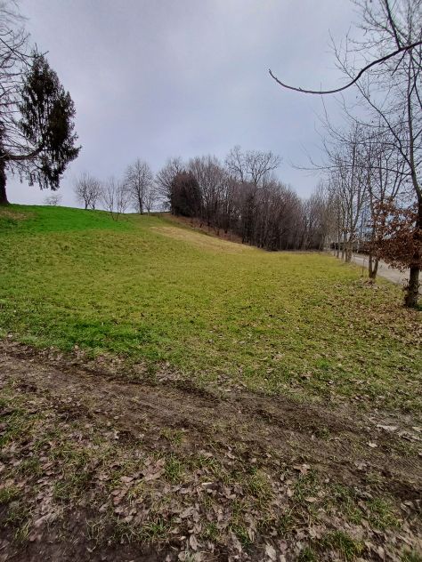 terreno agricolo in vendita a Tarcento
