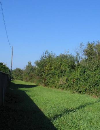 terreno edificabile in vendita a Tarcento