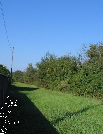 terreno edificabile in vendita a Tarcento