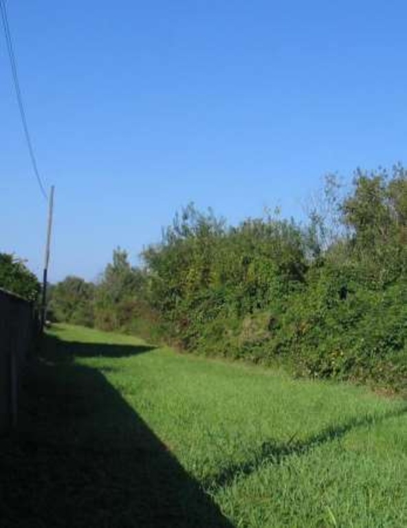 terreno edificabile in vendita a Tarcento