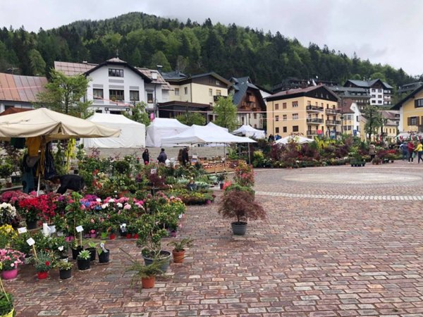 negozio in vendita a Tarvisio