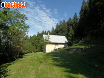appartamento in vendita a Tarvisio
