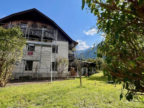 esavano in vendita a Tarvisio