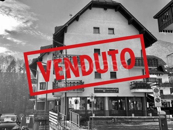 appartamento in vendita a Tarvisio