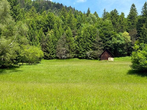 terreno agricolo in vendita a Tarvisio in zona Camporosso