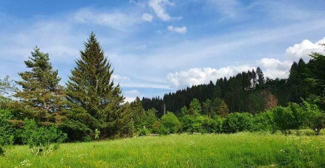 casa indipendente in vendita a Tarvisio