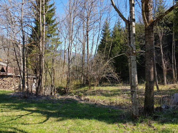 terreno edificabile in vendita a Tarvisio