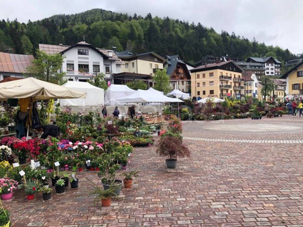 negozio in vendita a Tarvisio