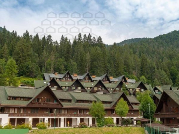 multiproprieta in vendita a Tarvisio in zona Camporosso