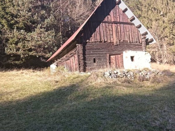terreno agricolo in vendita a Tarvisio in zona Camporosso
