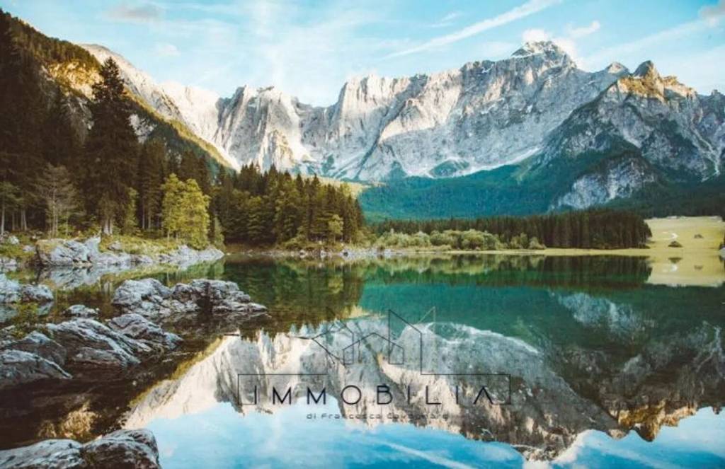 negozio in vendita a Tarvisio