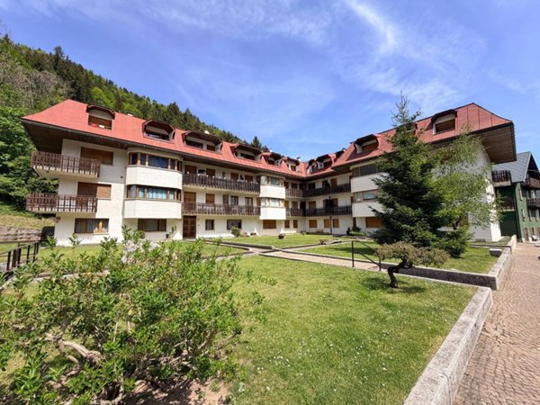 appartamento in vendita a Tarvisio