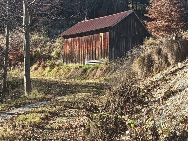 casa indipendente in vendita a Tarvisio in zona Camporosso