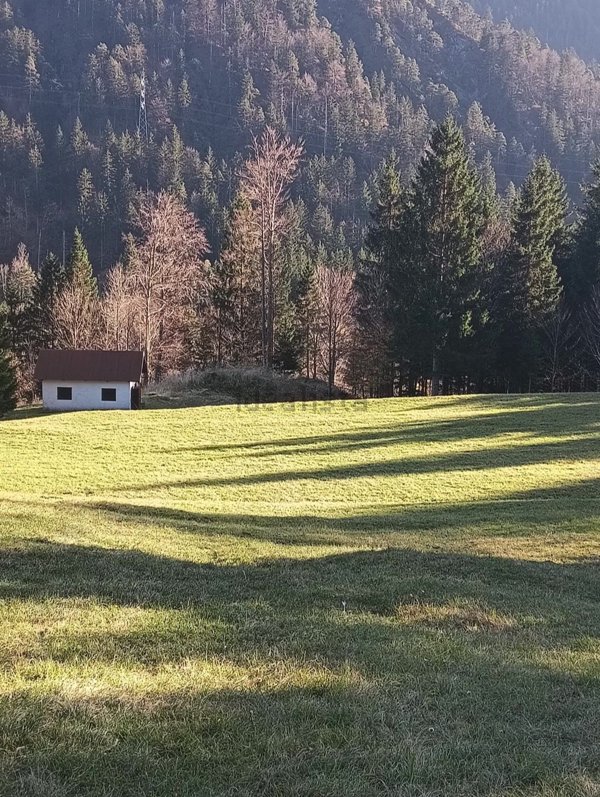 appartamento in vendita a Tarvisio in zona Camporosso