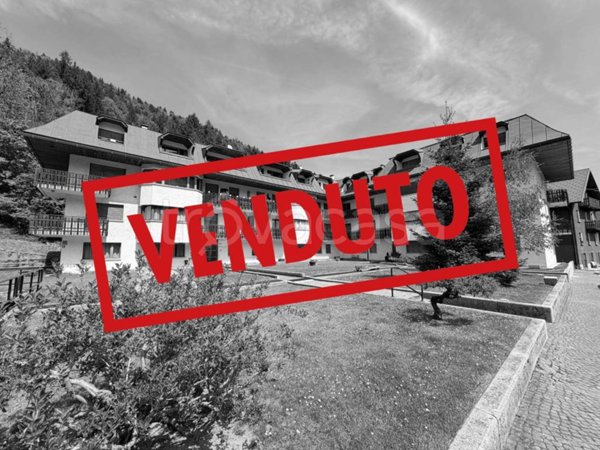 appartamento in vendita a Tarvisio