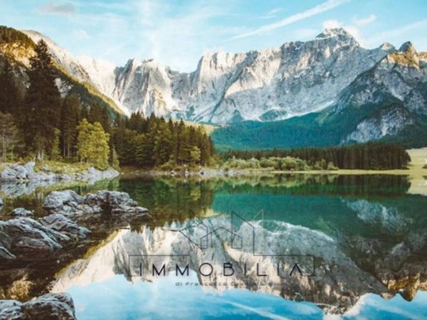 attivita commerciale in vendita a Tarvisio