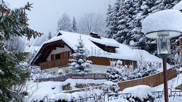 casa indipendente in vendita a Tarvisio