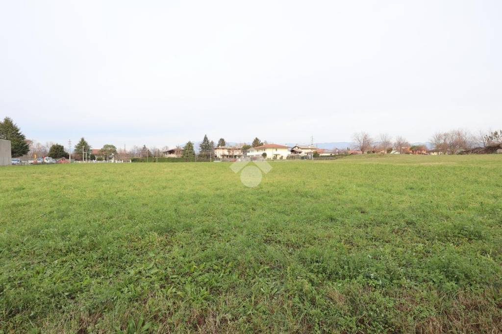 terreno agricolo in vendita a Tavagnacco in zona Branco