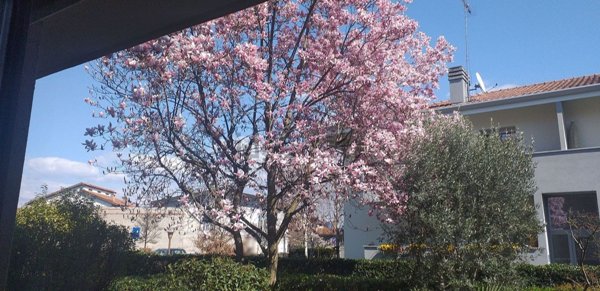 appartamento in vendita a Tavagnacco