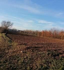 appartamento in vendita a Tavagnacco in zona Colugna