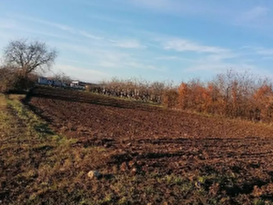 terreno agricolo in vendita a Tavagnacco in zona Colugna