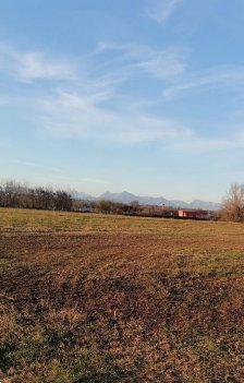 terreno agricolo in vendita a Tavagnacco in zona Colugna